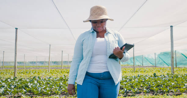 istock Shot of a young woman using a digital tablet while working on a farm 1354215292