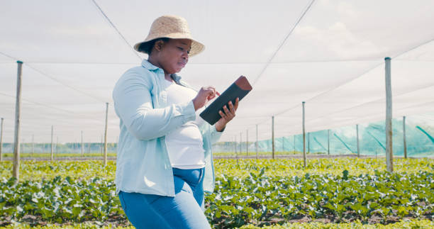 istock Shot of a young woman using a digital tablet while working on a farm 1354215309