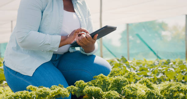 istock Closeup shot of an unrecognisable woman using a digital tablet while working on a farm 1354215346