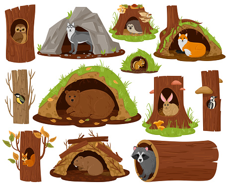 Cartoon forest animals inside hollow, burrow and nest. Woodland fauna in burrows and tree hollows vector illustration set. Owl, bear and hedgehog. Hollow for animal, forest shelter cute house