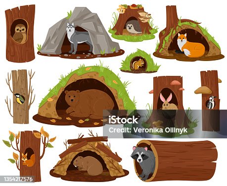 244,366 Animal Home Illustrations & Clip Art - iStock | Bird nest, Animal  den, Bear eyes
