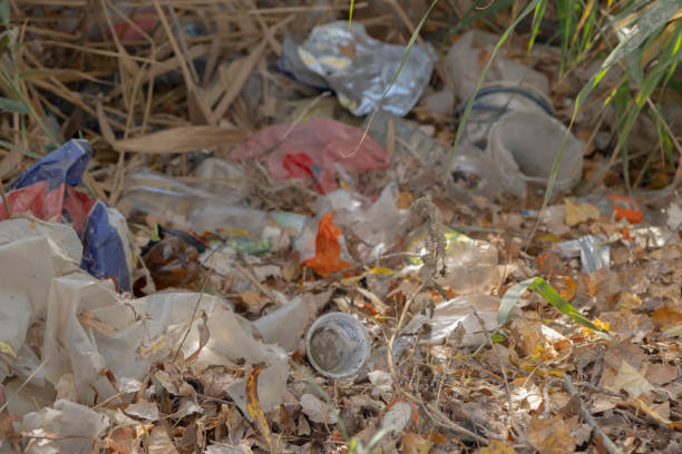 istock Discarded plastic bottles and other garbage in a meadow in the shore zone 1354218009