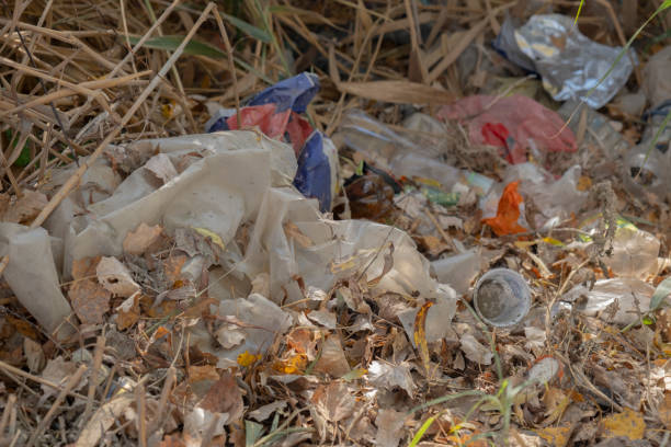 istock Discarded plastic bottles and other garbage in a meadow in the shore zone 1354218076