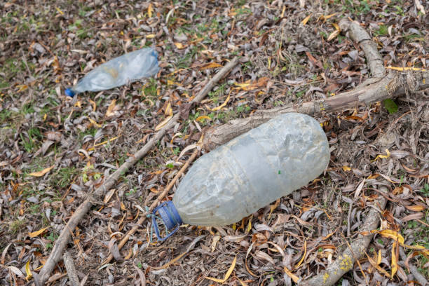 istock Discarded plastic bottles in a meadow in the shore zone 1354218139