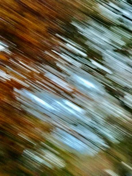 istock Speed in the wood 1354219115