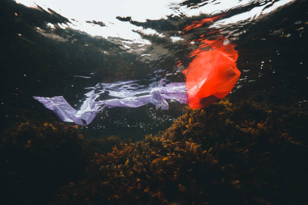 istock Plastic pollution in the sea 1354219279