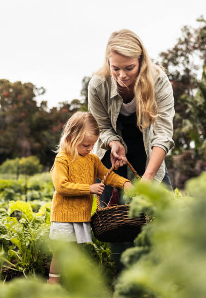 istock Cheerful young mother reaping fresh vegetables with her daughter 1354219893