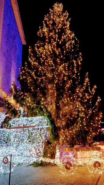 istock Lit Christmas tree outdoor at night in December 1354221896