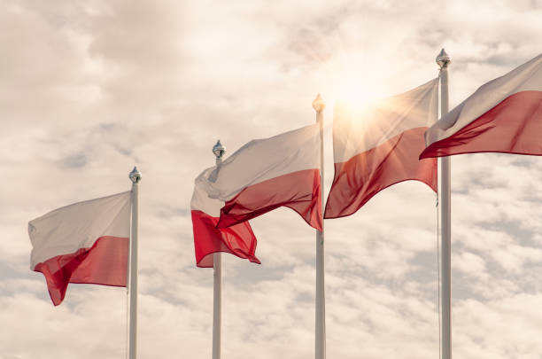 bandeiras nacionais polonesas - polish flag - fotografias e filmes do acervo