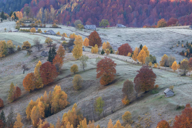 istock Mountain landscape in the rural Romania 1354229591