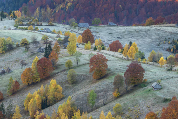 istock Mountain landscape in the rural Romania 1354230175