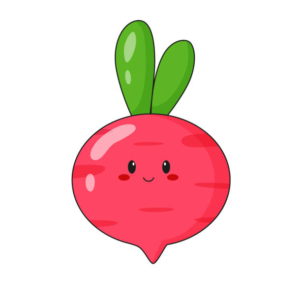 bildbanksillustrationer, clip art samt tecknat material och ikoner med cute radish carrot character. flat cartoon illustration, icon, logo, sticker isolated. - radishes