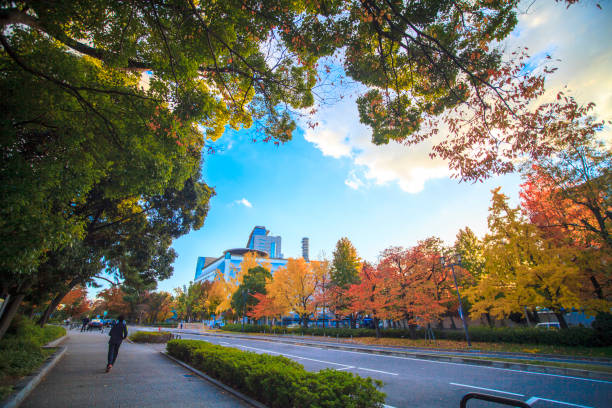 istock beautiful Osaka Castle with nice background color 1354234682