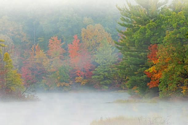 istock Autumn Hall Lake in Fog 1354236608