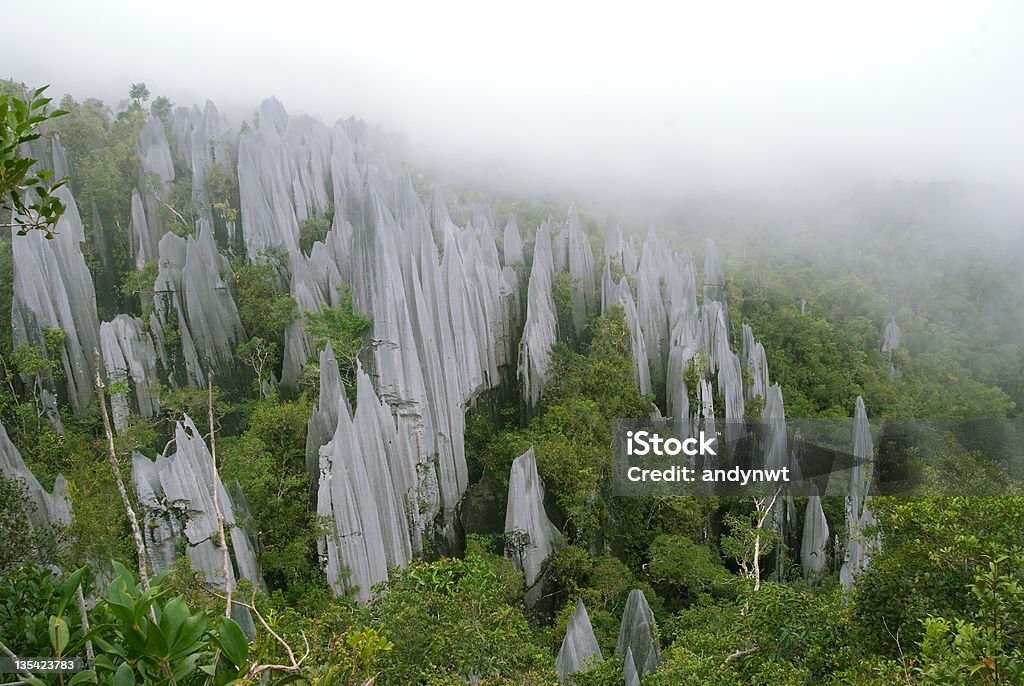 The Pinnacles Pinnacles view from Mt. Api in Borneo Sarawak National Park, Malaysia Gunung Mulu National Park Stock Photo