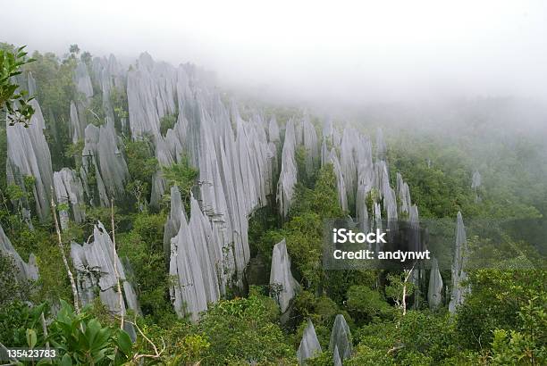 The Pinnacles Stock Photo - Download Image Now - Gunung Mulu National Park, Adventure, Forest