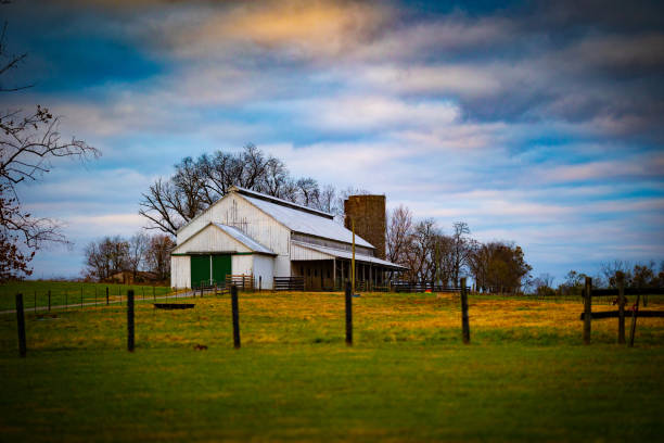istock An old, white farm barn in front of a brick grain storage structure during an overcast day 1354239303