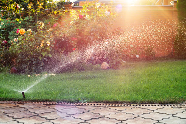 hierba verde que se riega con sistema de rociadores automáticos para el día soleado - aspersor fotografías e imágenes de stock