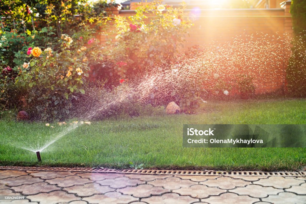 Green grass being watered with automatic sprinkler system sunny day Irrigation Equipment Stock Photo