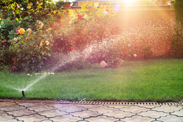 Green grass being watered with automatic sprinkler system sunny day Green grass being watered with automatic sprinkler system sunny day irrigation equipment photos stock pictures, royalty-free photos & images