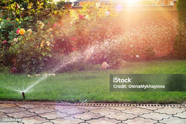 Green Grass Being Watered With Automatic Sprinkler System Sunny Day Stock Photo - Download Image Now