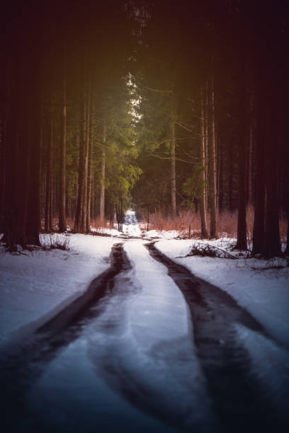 Denmark in winter