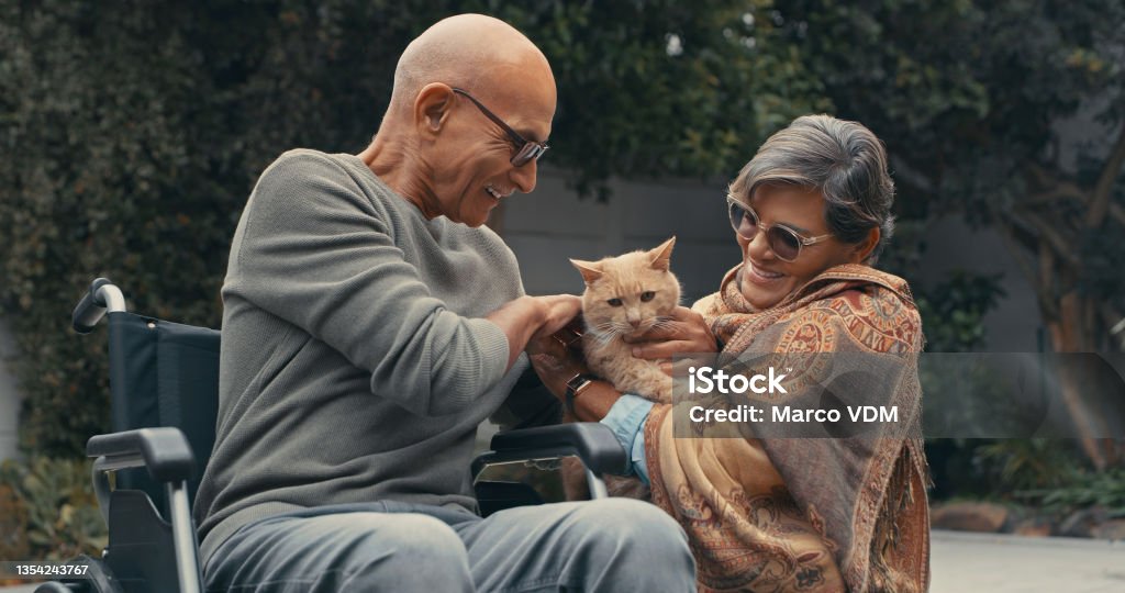 Shot of a senior man in a wheelchair spending time outdoors with his wife and their cat You know that your lap is her favourite place Domestic Cat Stock Photo