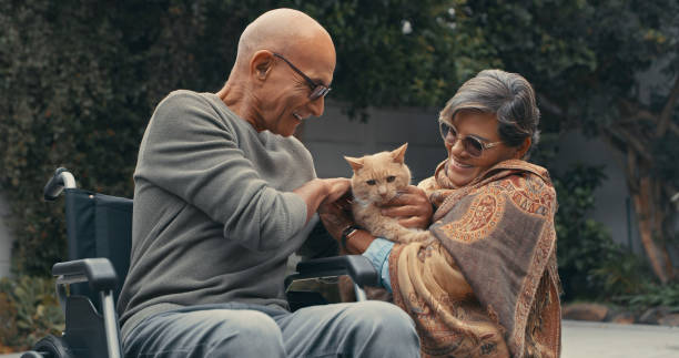 Shot of a senior man in a wheelchair spending time outdoors with his wife and their cat stock photo