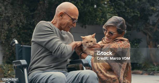 Shot Of A Senior Man In A Wheelchair Spending Time Outdoors With His Wife And Their Cat Stock Photo - Download Image Now