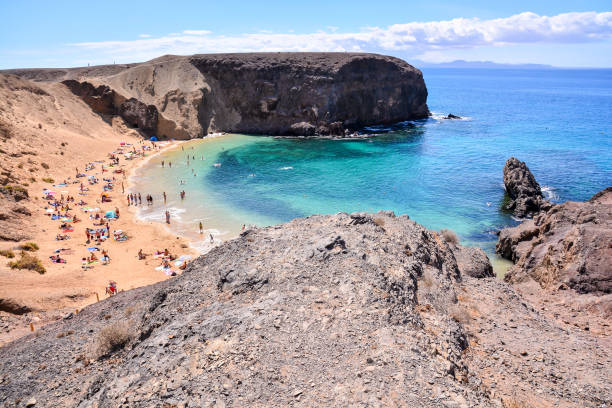 istock Landscape in Tropical Volcanic Canary Islands Spain 1354247937