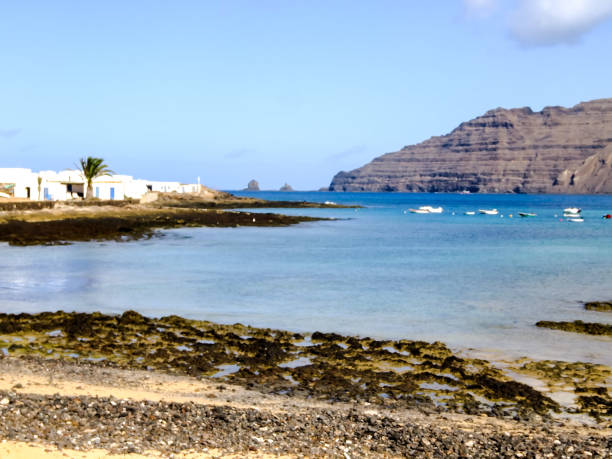 istock Landscape in Tropical Volcanic Canary Islands Spain 1354248210