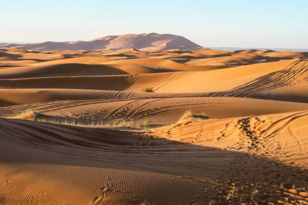 istock sunset in the desert, photo as background 1354248304