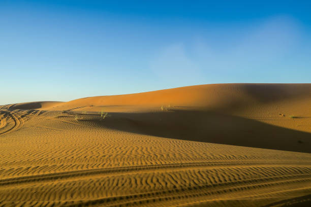 istock landscape in sahara desert, photo as background 1354248310