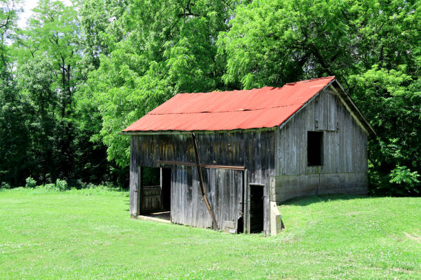 istock rusted red roof farm barn building built into a hillside with forest beyond 1354248508
