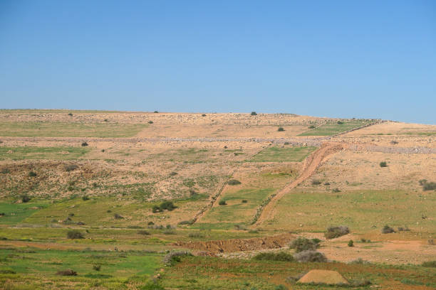 istock landscape with hills and blue sky, photo as background 1354251092