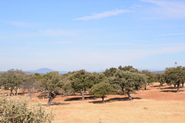 istock European natural countryside 1354251369