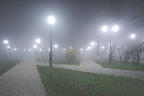 istock Foggy autumn night in the park. 1354251375