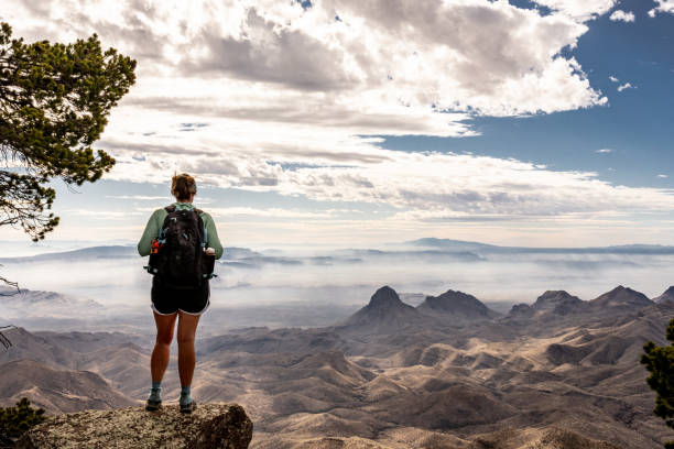 caminhante olhando para fora da trilha da orla sul - south rim - fotografias e filmes do acervo