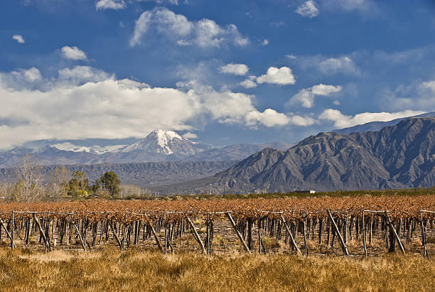 istock Volcano Aconcagua and Vineyard 135425393