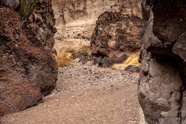 istock Woman Walks Through Tuff Canyon Wash 1354254047