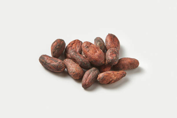 istock Pile of raw unpeeled cocoa beans 1354254786