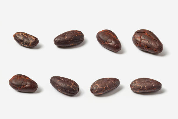 istock Rows of peeled texture cocoa beans 1354254797