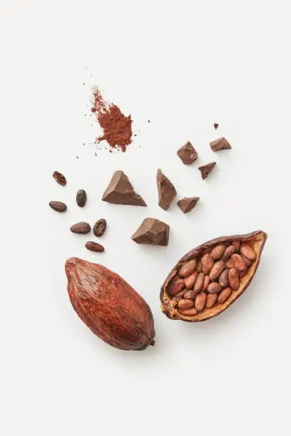 Top view of organic natural cocoa pod with unpeeled beans composed with cocoa powder pile and chocolate chunks on white background