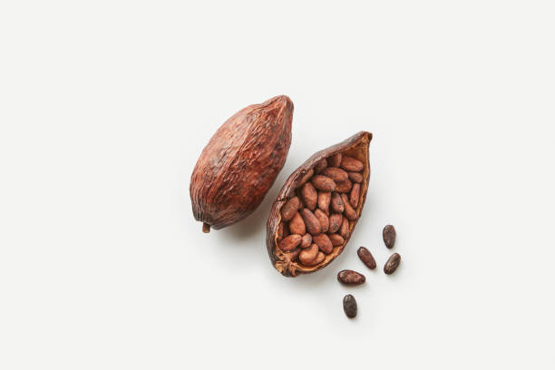 istock Unpeeled cocoa beans in pod 1354254799