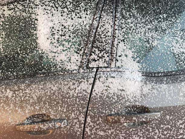 istock car wash with cleaning foam 1354256734