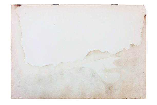 istock Old yellowed isolated kraft paper texture with stain 1354258023