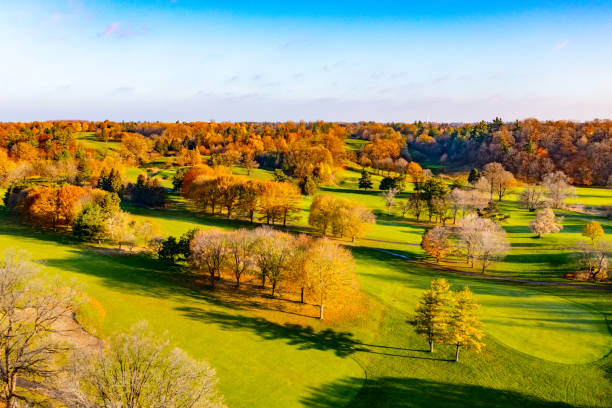 aerial view of residential distratic at rutherford road and islington ave., detached and duplex house, woodbridge, vaughan, canada - deciduous tree autumn canada house imagens e fotografias de stock