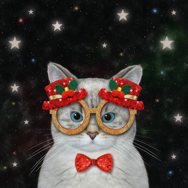 istock Cat ashen in Christmas mask at night 1354260839
