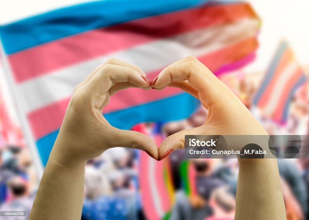 hands making hear shape over transgender flag in background close up hands creating a heart with  transgender flag in the background Transgender Person Stock Photo
