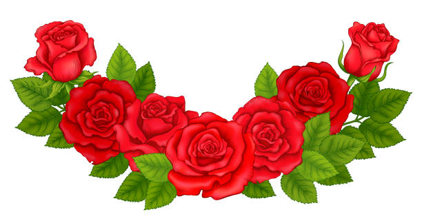 Semicircular Composition of Red Roses Semicircular Composition of Red Roses for Decoration Frames, Vignettes, Borders, Greeting and Wedding Cards and Backgrounds in Classic Style. Vector Illustration Isolated on the White Background red flower crown stock illustrations
